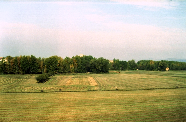 Sandoval de la Reina - Vegetación junto al río Odra - Año 2001